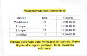 Harmonogram opłat
